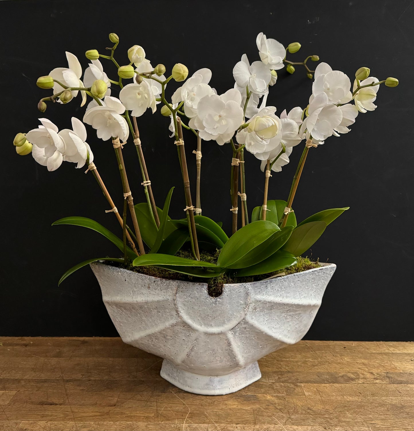 Send fresh luxury orchids same day delivery New York