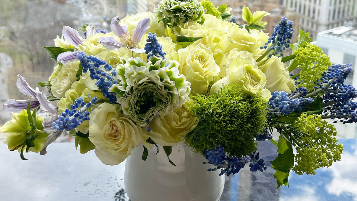 Compact low-scent get well arrangement by Alaric Flower Design: cream spray roses, lisianthus, muscari and clematis in a small white vase, hospital-appropriate, against the Manhattan skyline