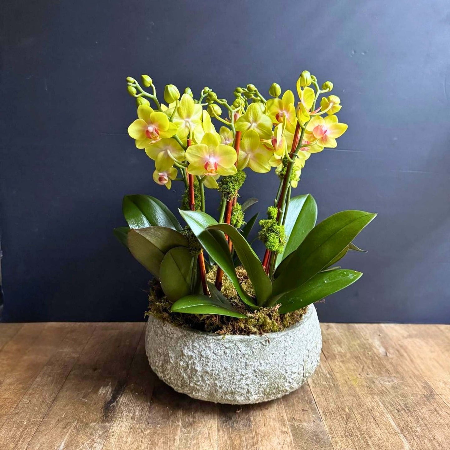 Passover Flowers NYC: Elegant Seder Arrangements & Delivery