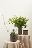Elegant Floral Vase