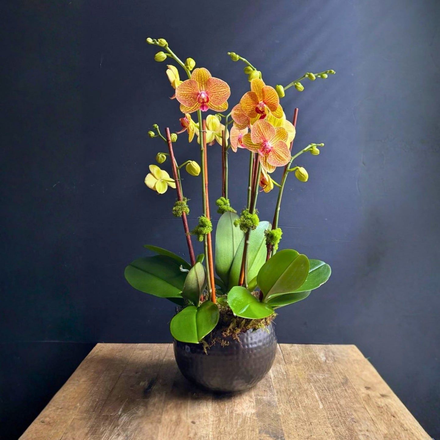 Potted orchid with yellow and pink flowers on a wooden surface against a dark background