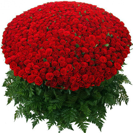 red roses delivery midtown florist 