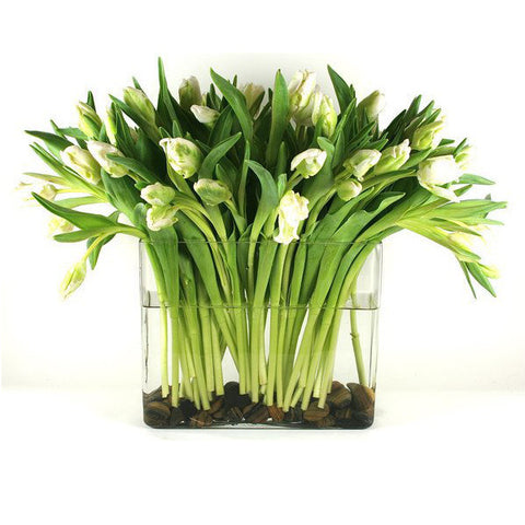 White Tulips Flower Arrangement - same day flower delivery and gift crate basket delivery Manhattan Midtown NYC New York 10019 10022