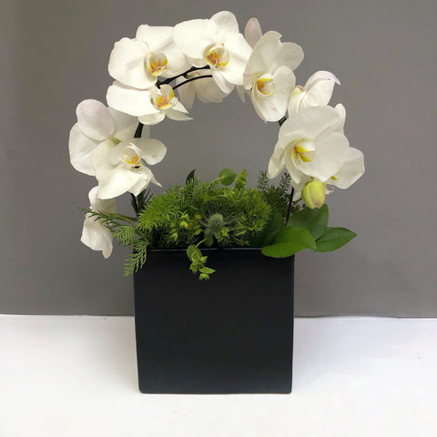 orchid flowers same day flower delivery nyc buy online corporate flowers manhattan 10023 10022 10019 midtown florist