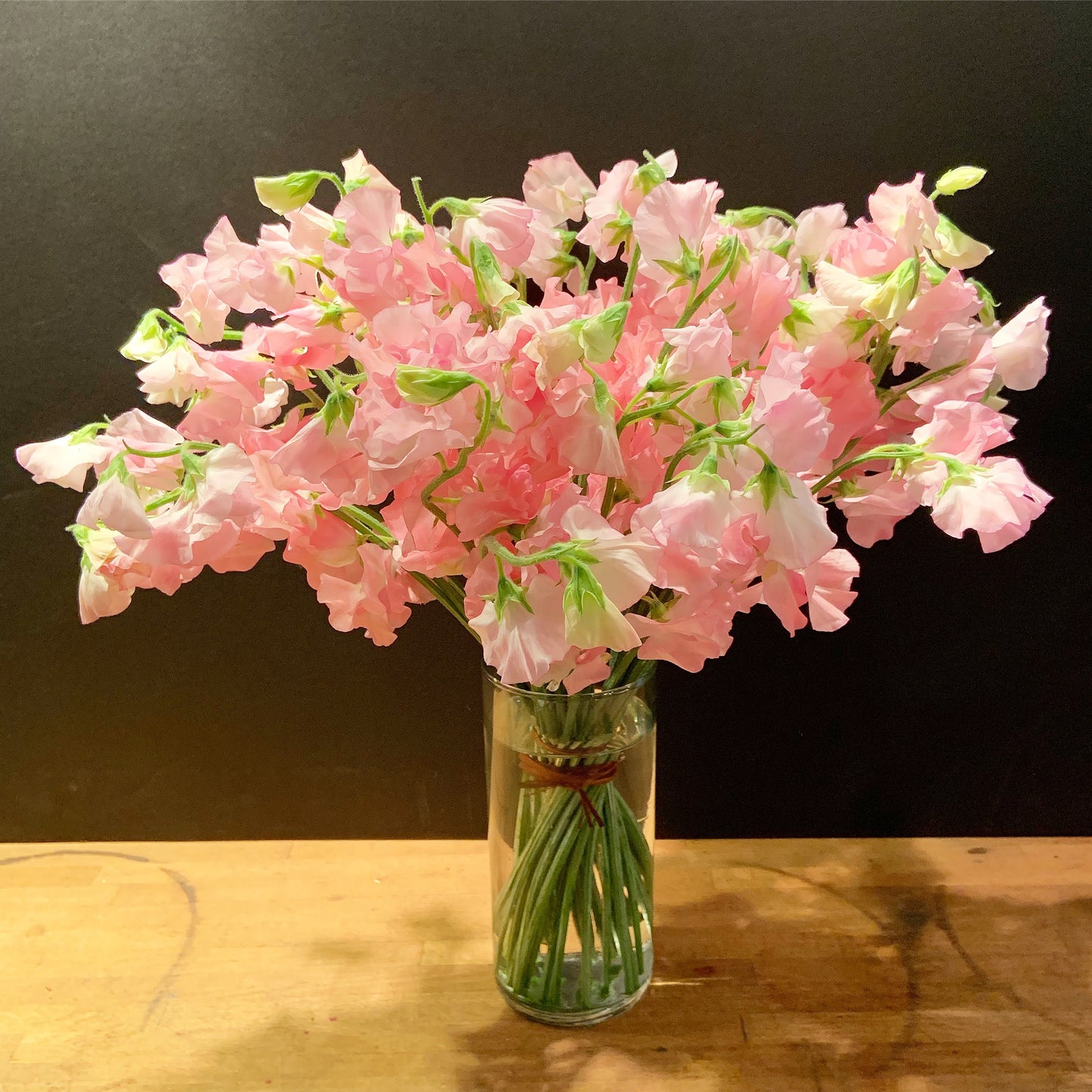 Alaric Flowers NYC airy bouquet of pastel blush sweet pea blossoms spilling from a clear glass cylinder vase.