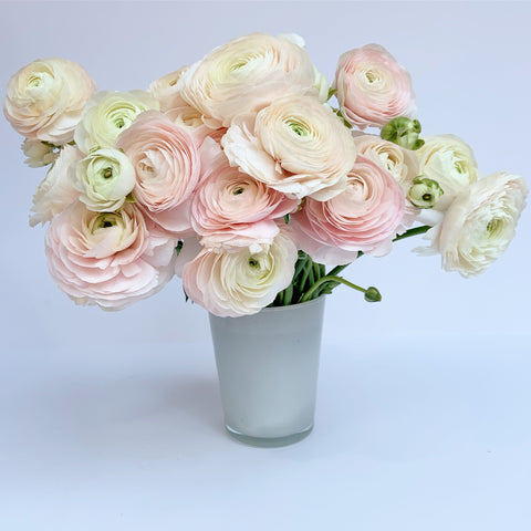 ranunculus - send flowers buy orchids new york - flower delivery nyc 